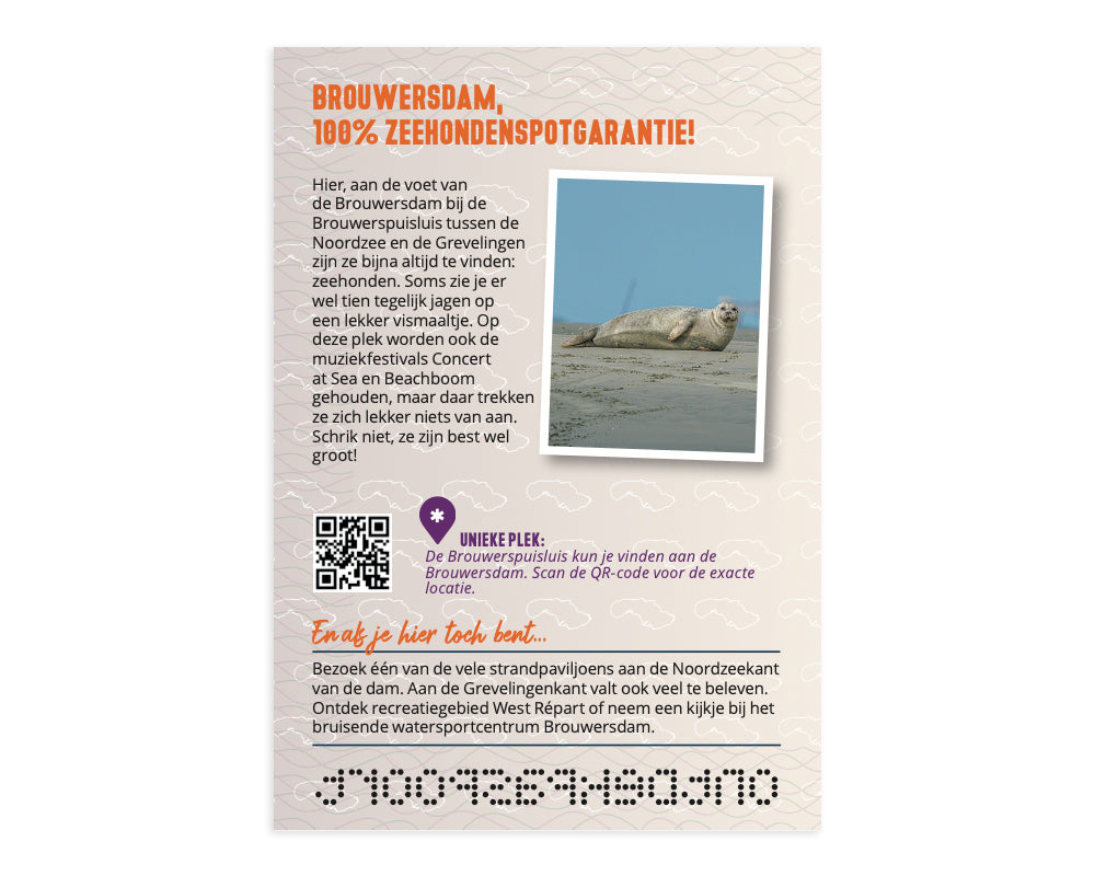Het Ontdek Paspoort (Set van 100 stuks)