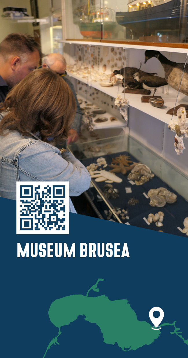 Tipkaart - Museum Brusea