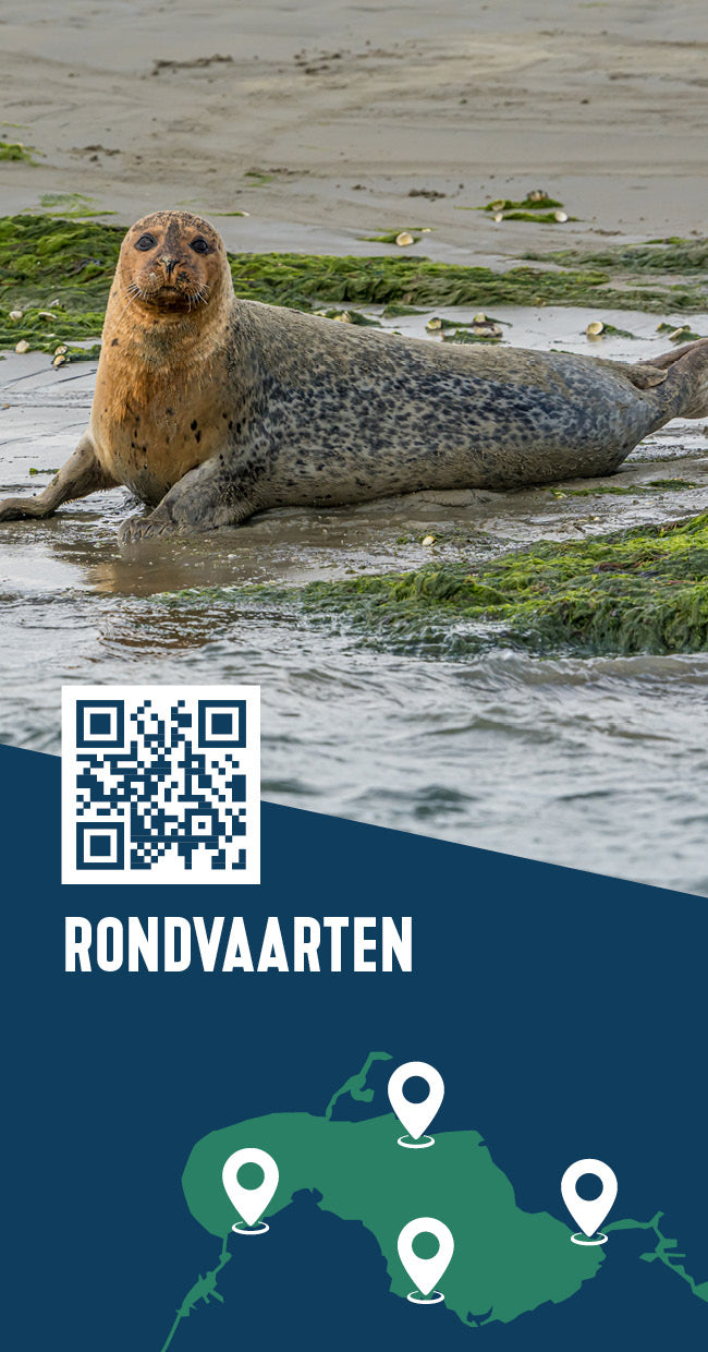 Tipkaart - Rondvaarten