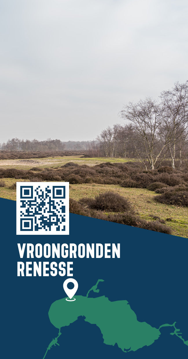 Tipkaart - Vroongronden Renesse