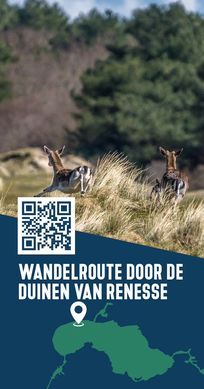Tipkaart - Wandelroute door de duinen van Renesse